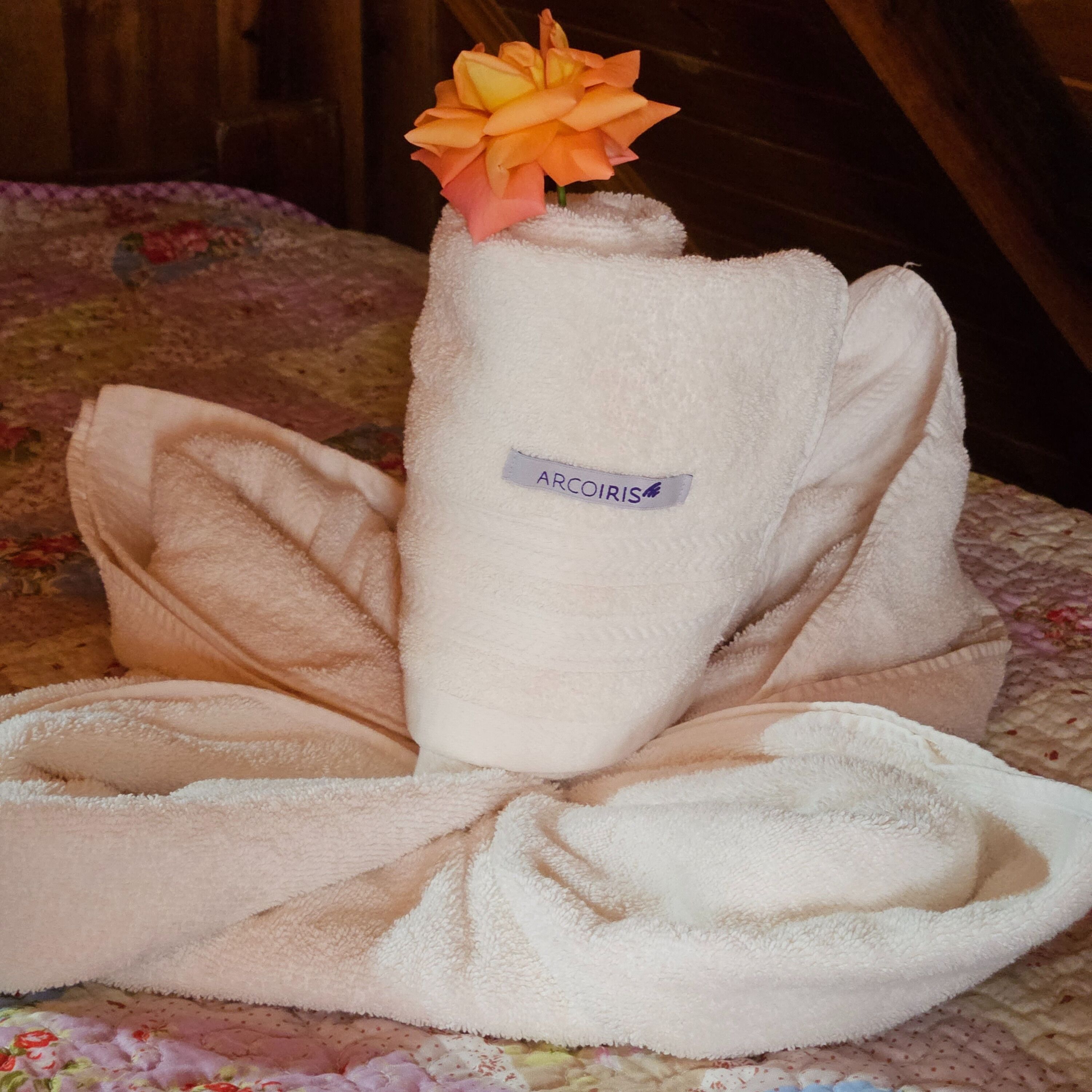 Photo - Cabañas El Refugio del Mensu