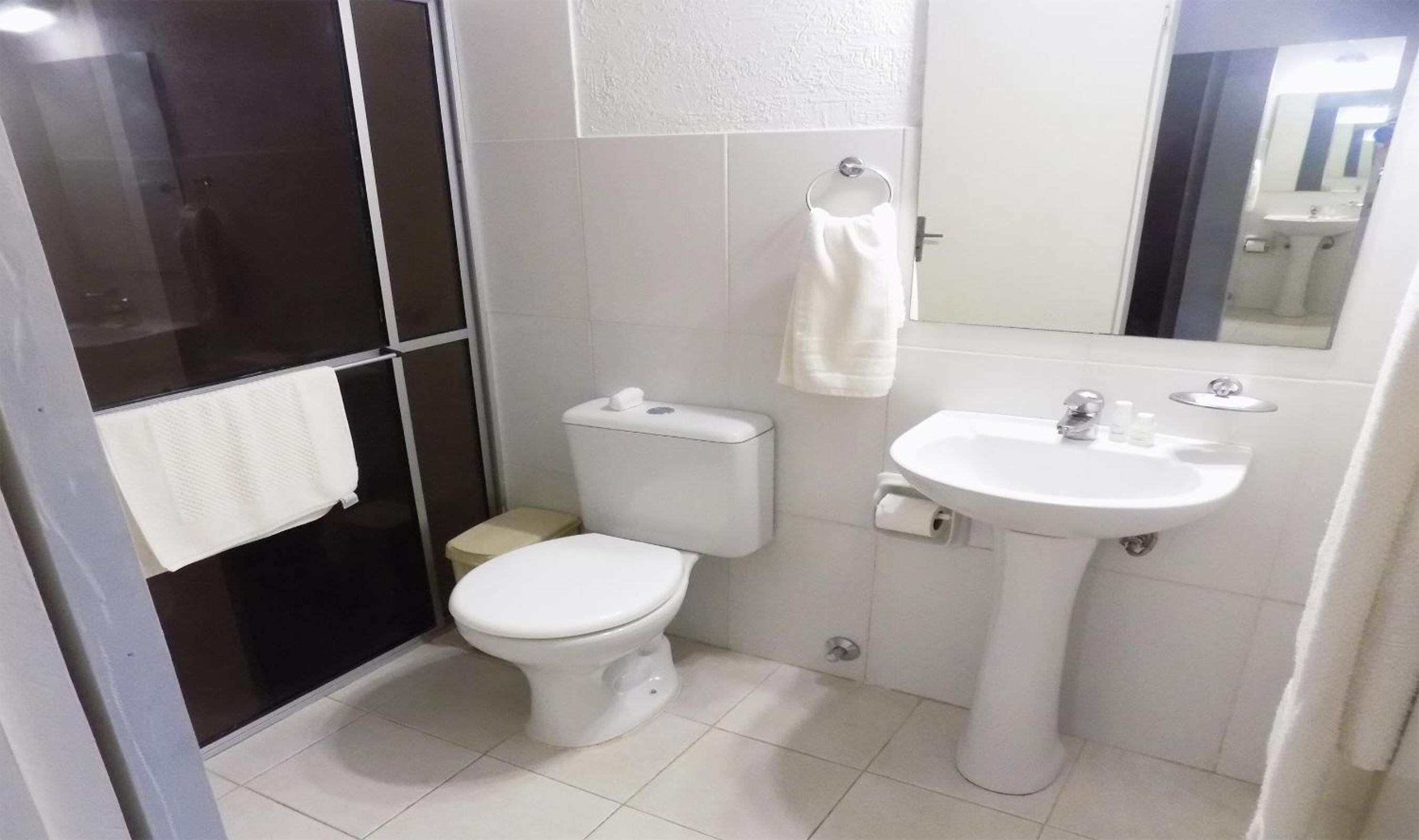 shower, hair dryer, bidet, towels