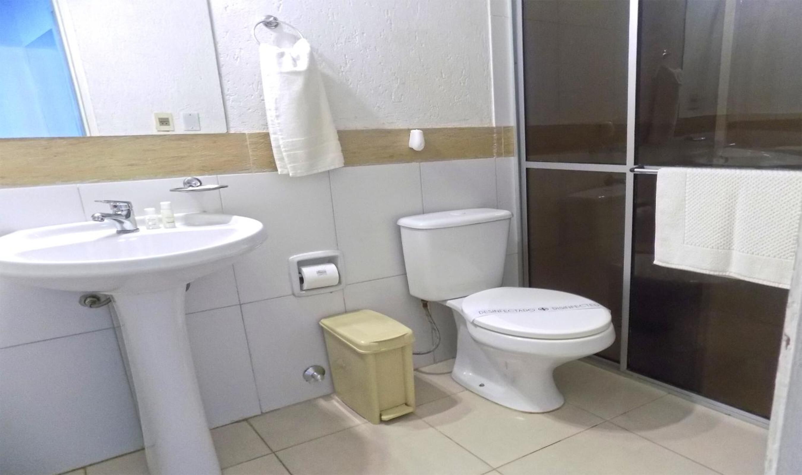 shower, hair dryer, bidet, towels