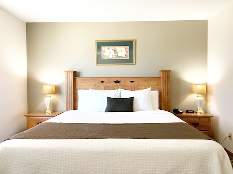 Iron/ironing board, free WiFi, bed sheets. Burke Inn Motel & Suites