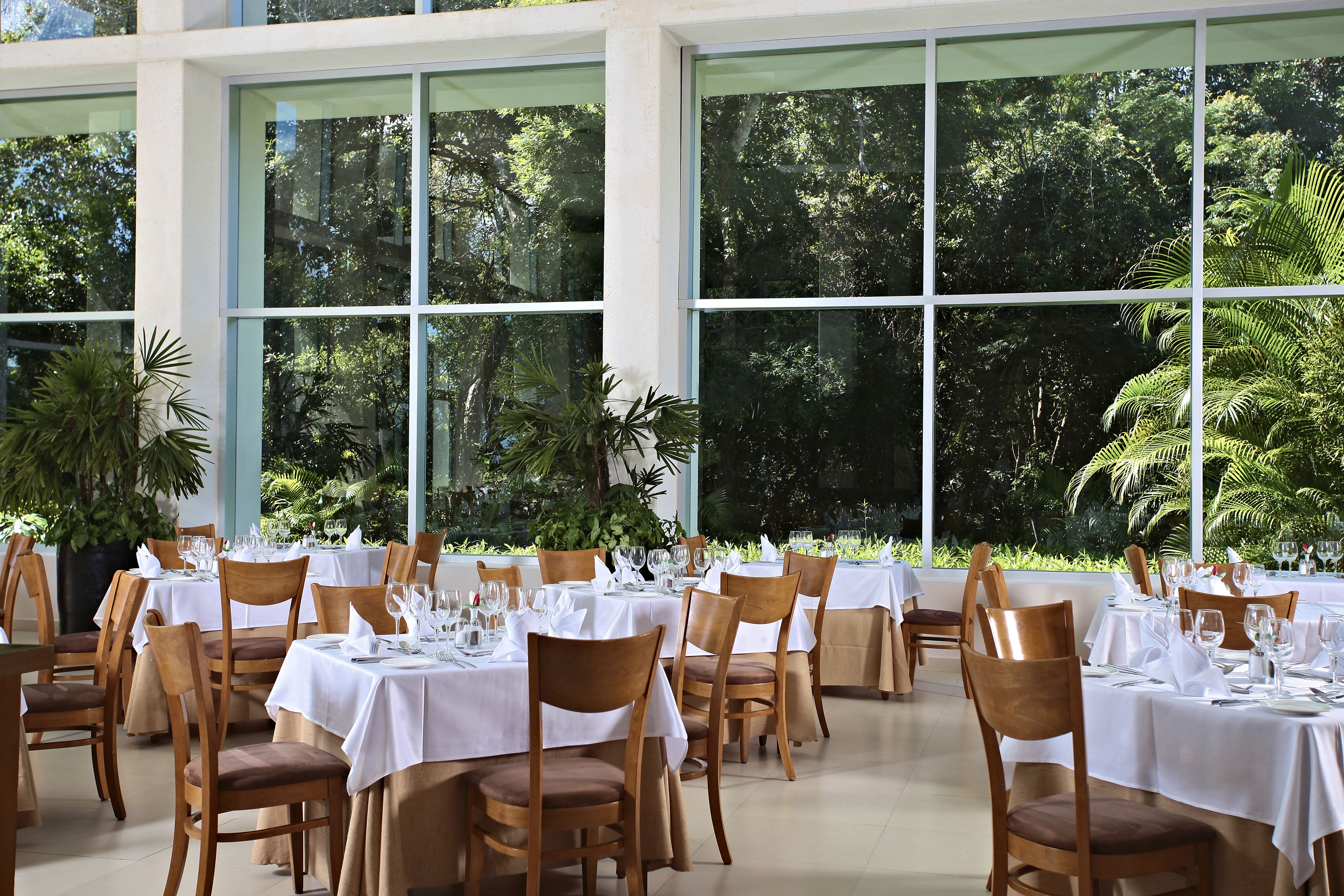 A restaurant with multiple tables set for dining, large windows offering a view of lush greenery.