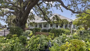 A large tree in front of a house with a porch and a garden with various plants and flowers. - Bay Town Inn (Bay St Louis)