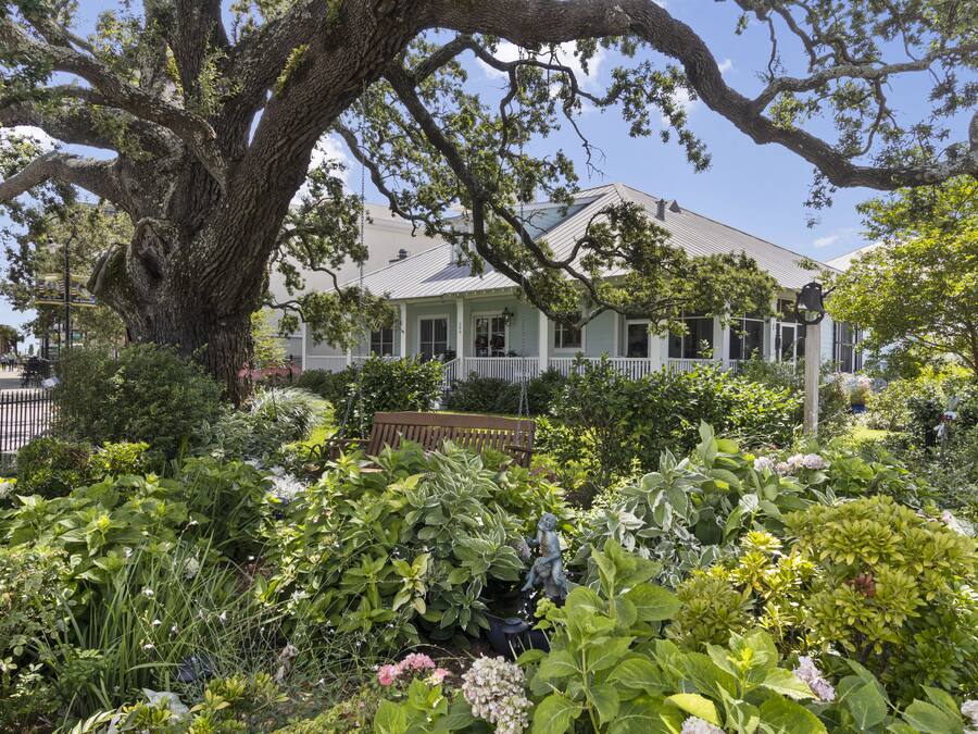 A large tree in front of a house with a porch and a garden with various plants and flowers.