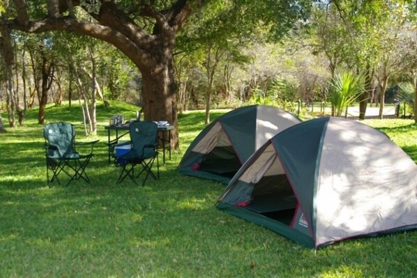 Two tents set up on a grassy area with trees in the background. - The Royal Sichango Village (Livingstone)