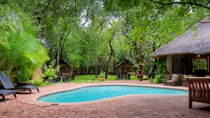 Un área de piscina con sillones de descanso, una estructura de techo de paja y follaje circundante.