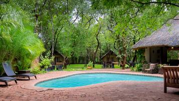 Outdoor pool, sun loungers