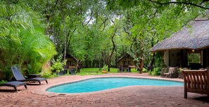 Outdoor pool, sun loungers