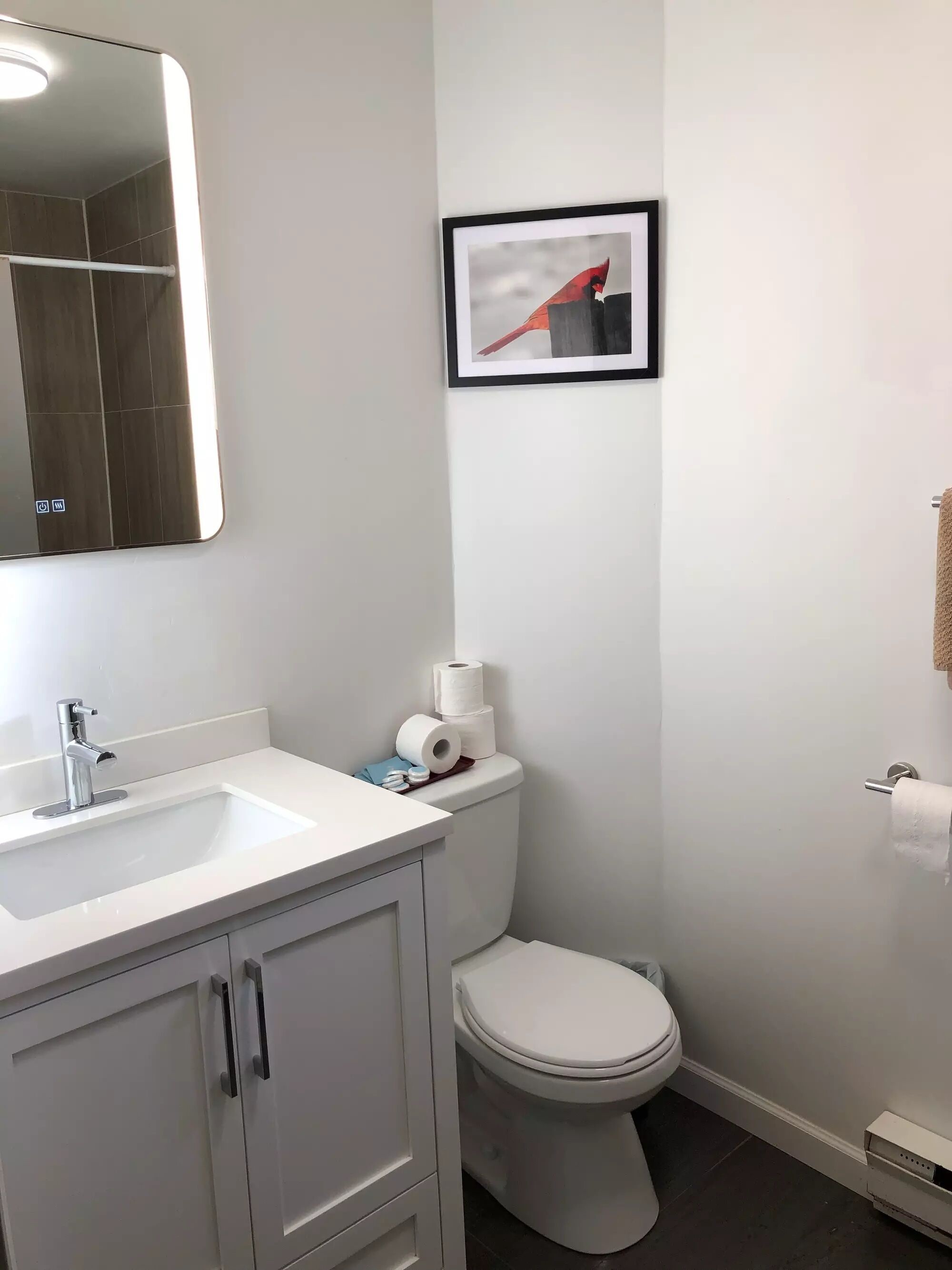 Une salle de bain avec un lavabo blanc, des toilettes et un tableau encadré au mur.