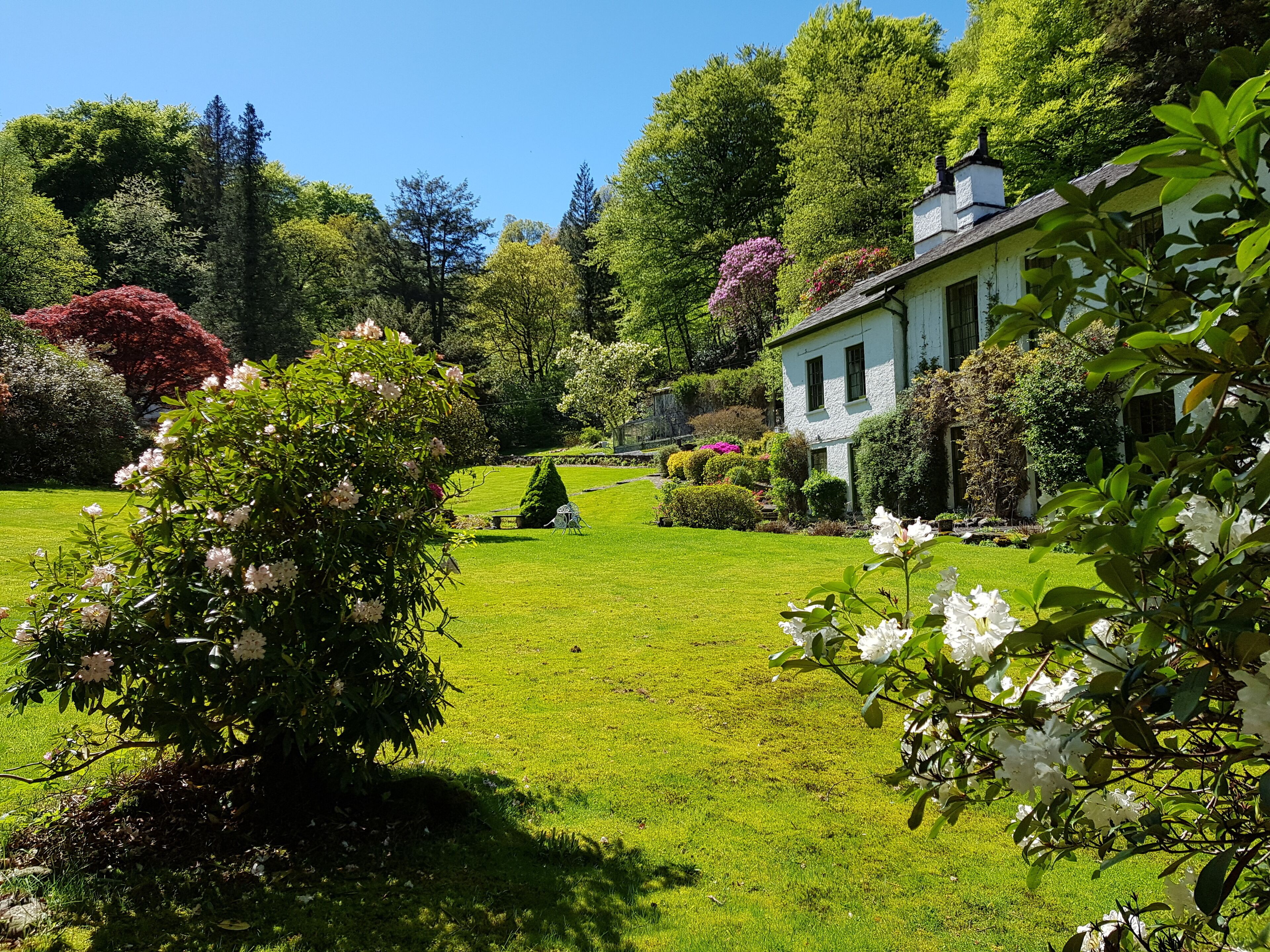 A well-maintained garden with a variety of flowering plants and neatly trimmed hedges.