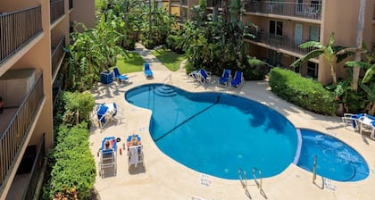 Beachview by South Padre Condo Rentals