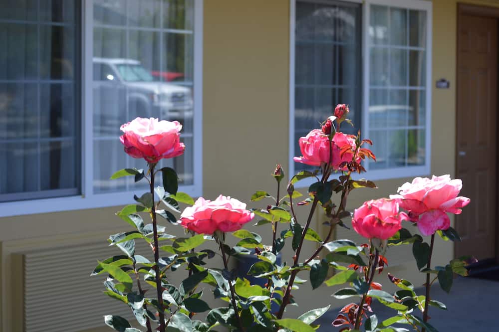 Budget Inn of Paso Robles