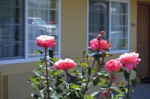 A building with large windows and a door. - Budget Inn of Paso Robles (Paso Robles)