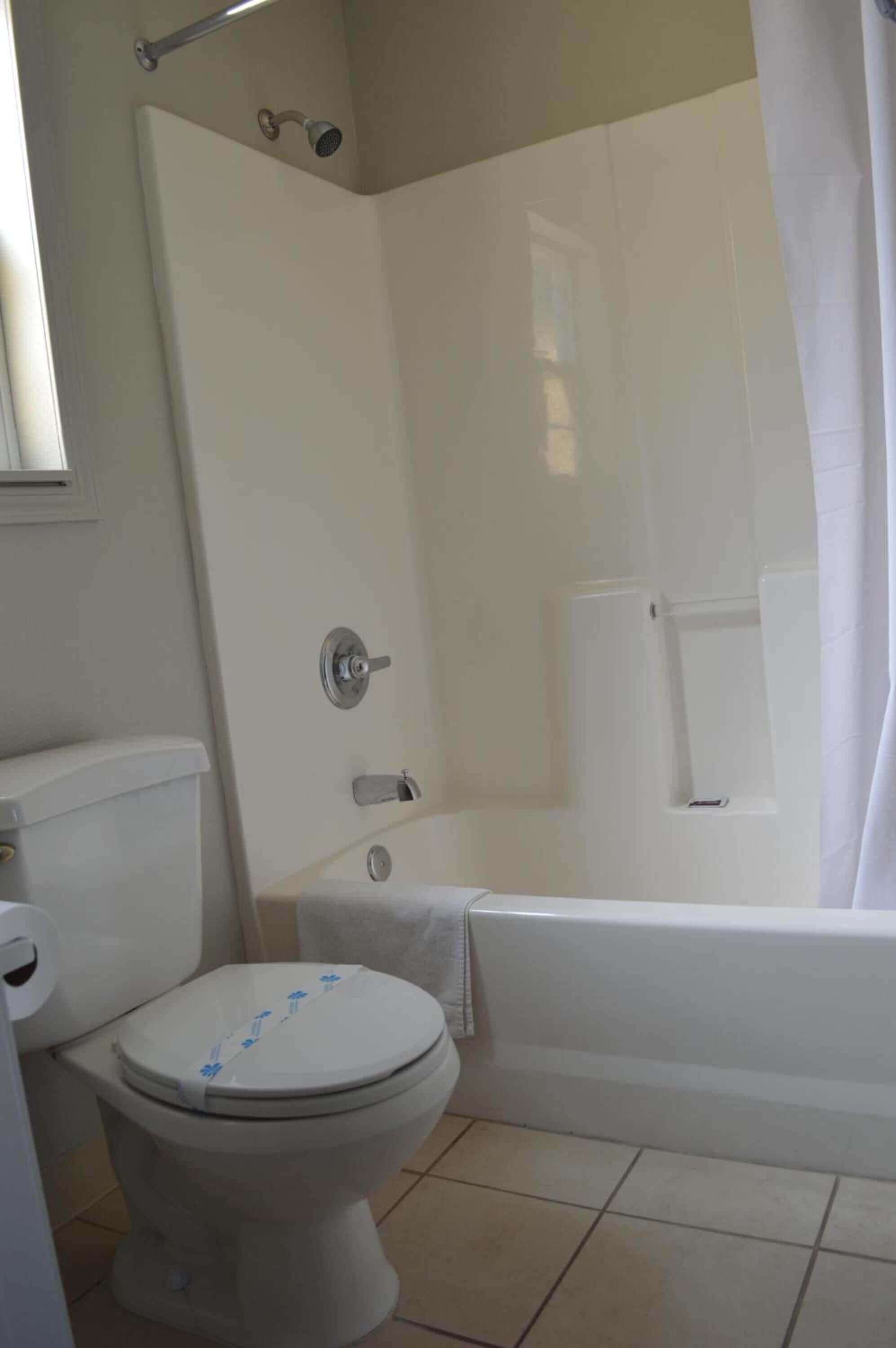 A bathroom with a toilet, bathtub, and shower curtain.