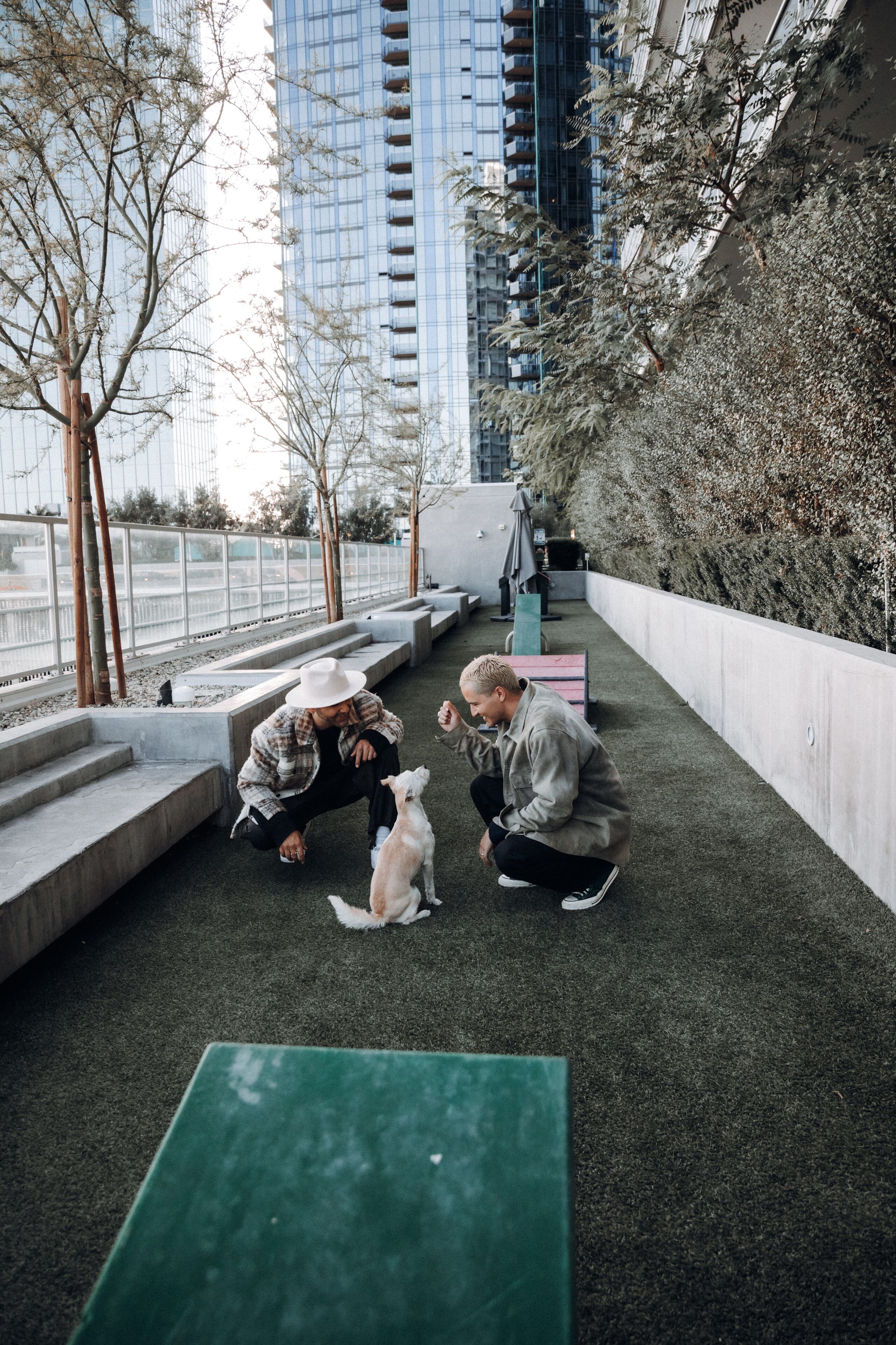 pet-friendly amenities