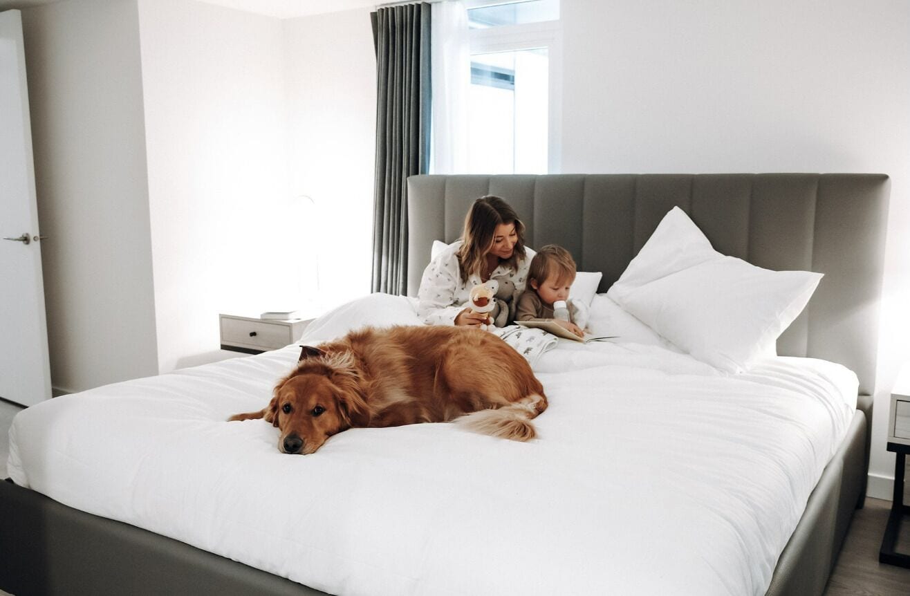 Una habitación de hotel con una cama grande, una mesita de noche y un ventanal con cortinas.
