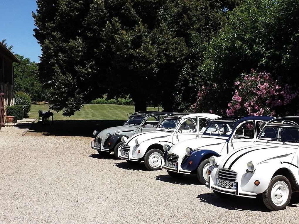A row of vintage cars parked on a gravel surface with a large tree and a building in the background.
