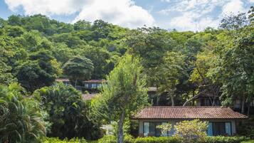 Bungalow Suite Double Tropical View | Property grounds