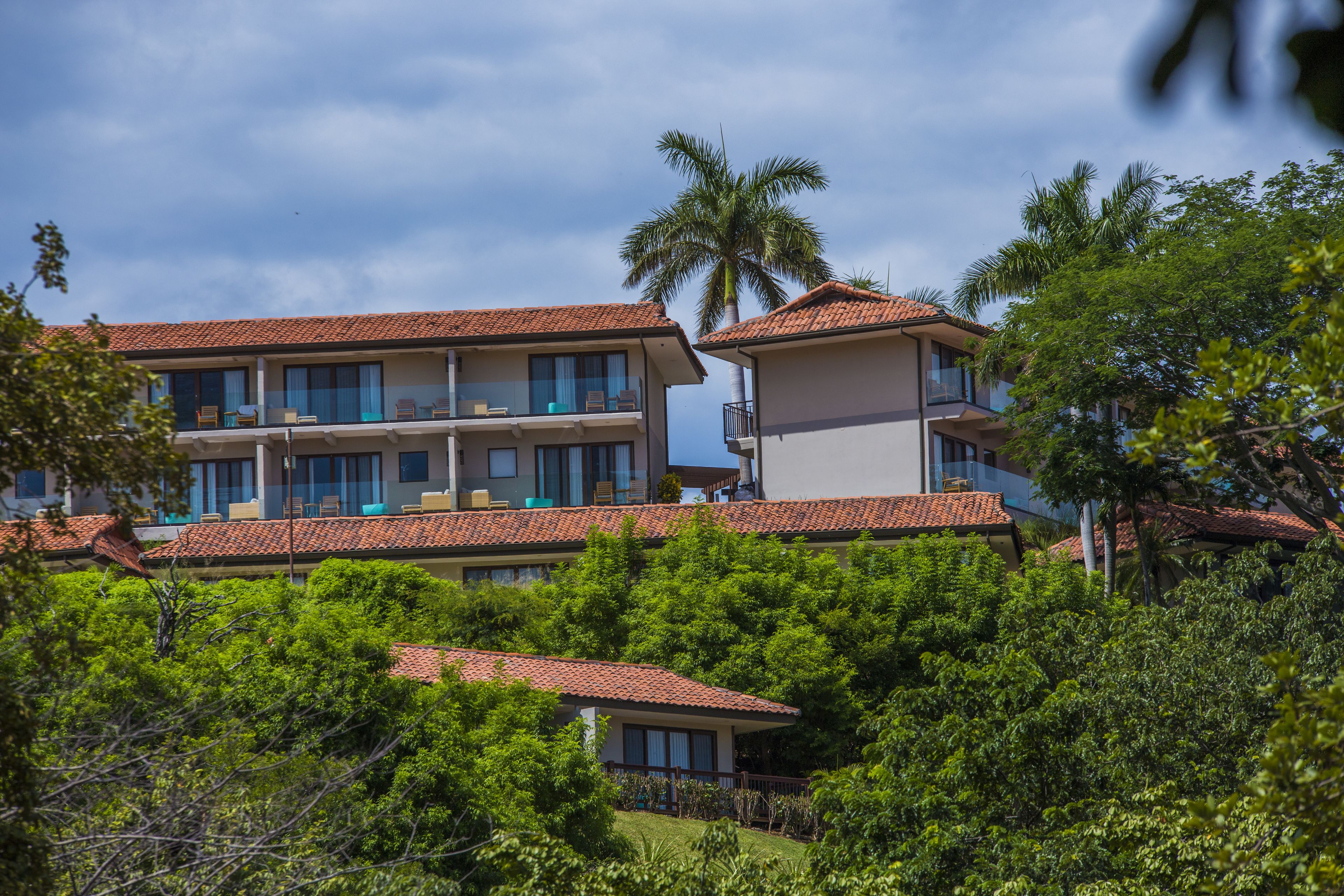 Deluxe Ocean View King Balcony | Front of property