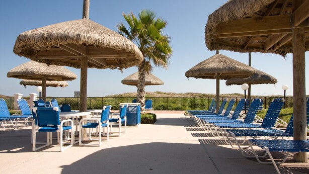 A poolside area with thatched umbrellas, blue lounge chairs, and a palm tree. - Saida by South Padre Condo Rentals (South Padre Island)