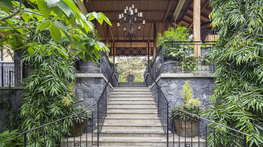 Bodhi Tree Yoga Resort