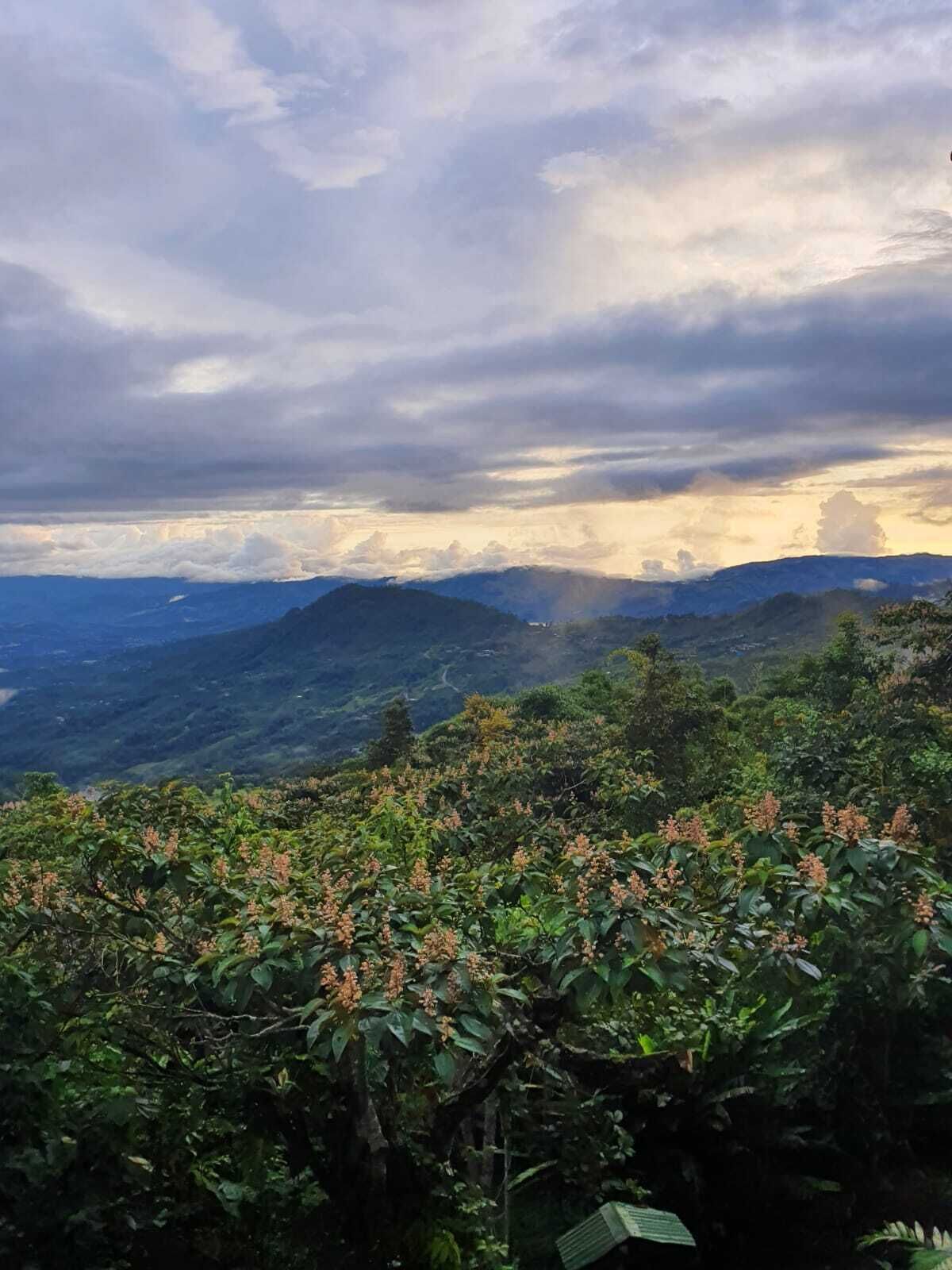A mountainous landscape with lush greenery and a cloudy sky.