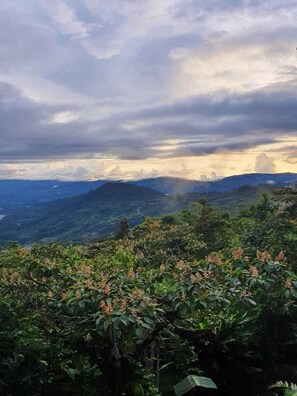 A mountainous landscape with lush greenery and a cloudy sky. - Mirador Valle del General (Páramo)