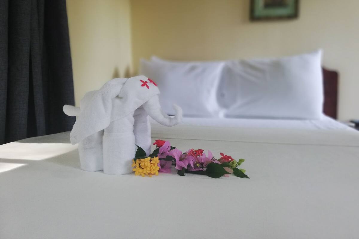 Standard Double or Twin Room | Premium bedding, WiFi (free), bed sheets