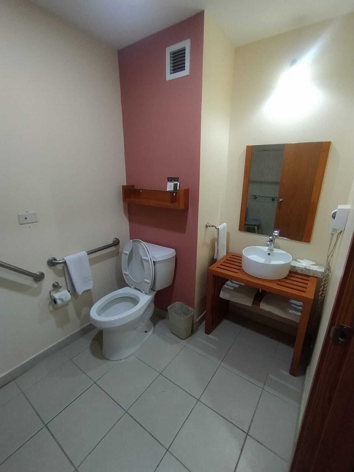 executive single room, 1 queen bed, accessible | bathroom | shower, free toiletries, hair dryer, towels