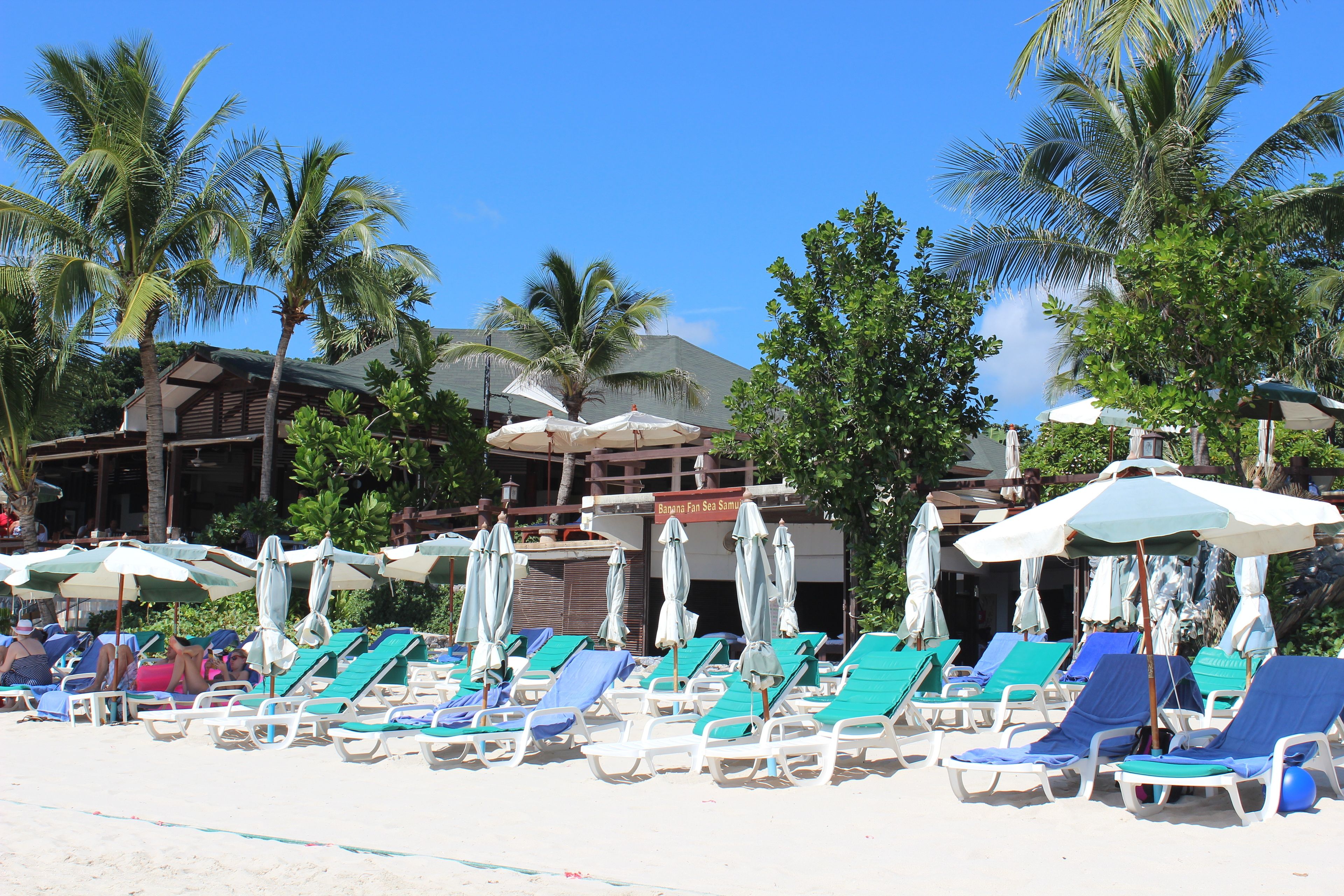 A beach with rows of sun loungers and umbrellas, palm trees, and a building with a sign.