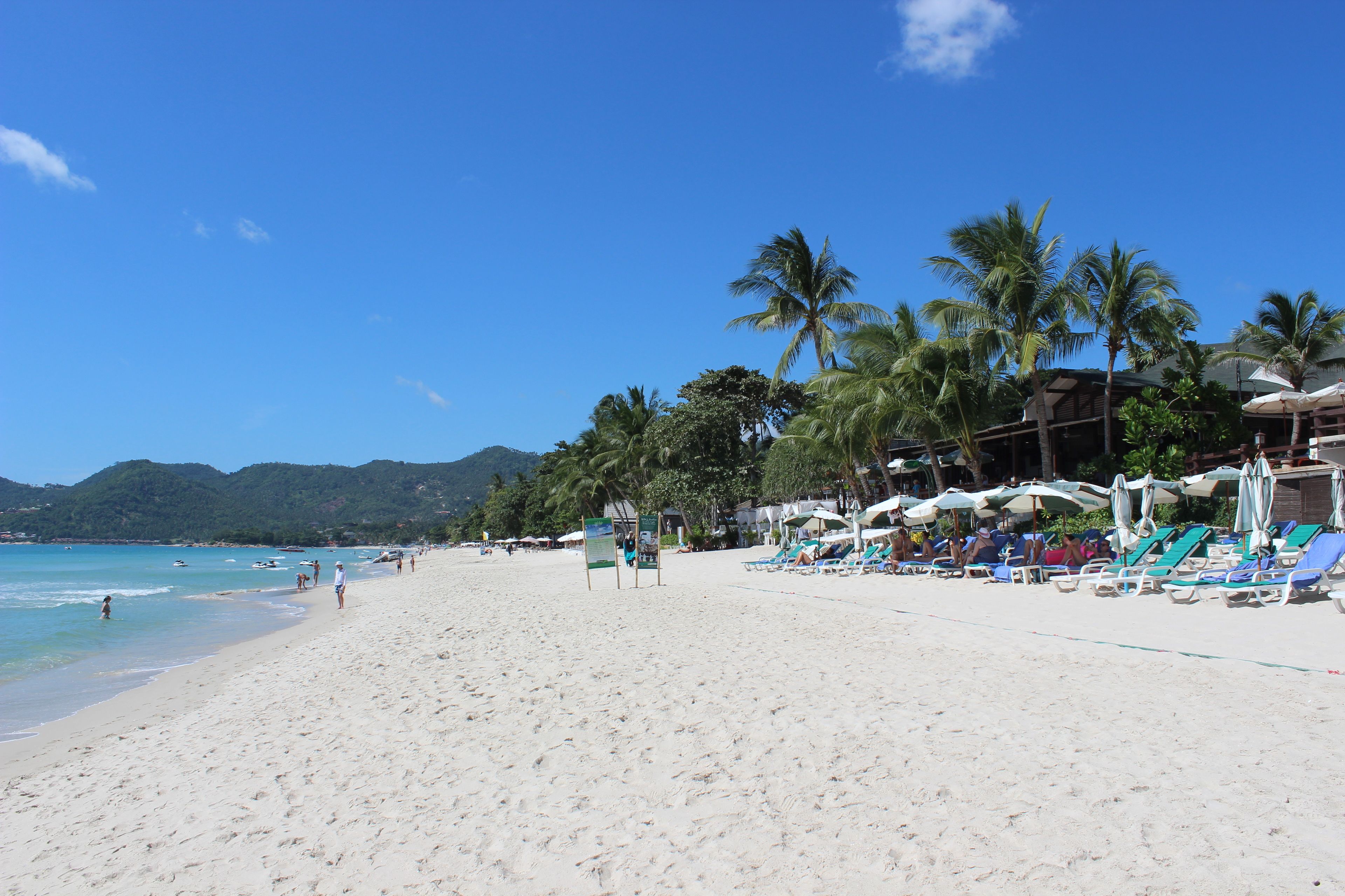 A beach with white sand, palm trees, and a clear blue sky. There are lounge chairs and umbrellas along the shore.