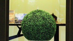 A reception area with a potted topiary and a sign for Nam Khong Hotel. - Namkhong Riverside Hotel Chiang Rai (Chiang Khong)