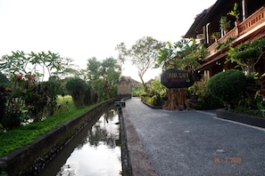 Property grounds - Danasari Homestay (Ubud)