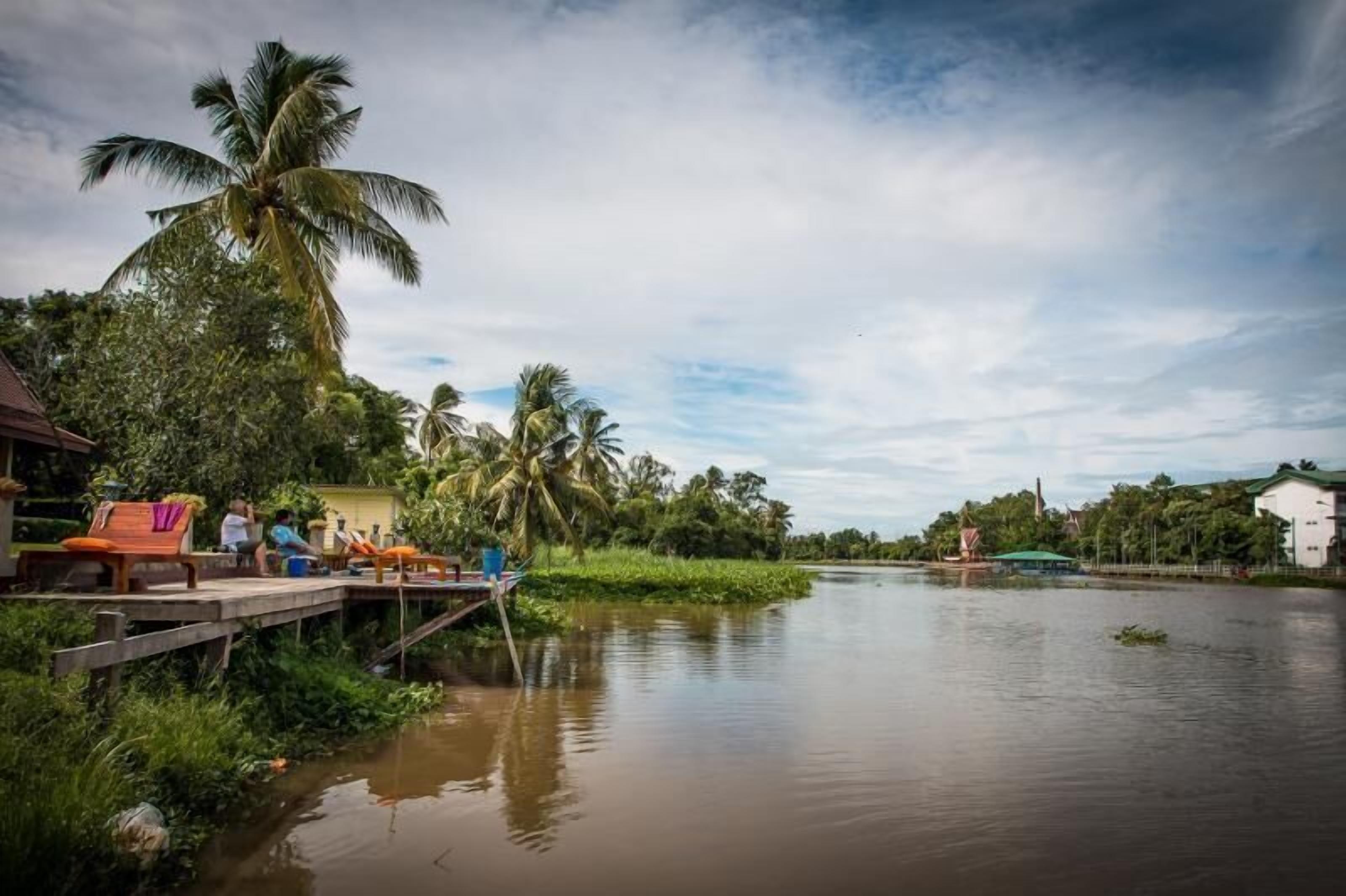 A riverside setting with a wooden dock, palm trees, and a calm water body.