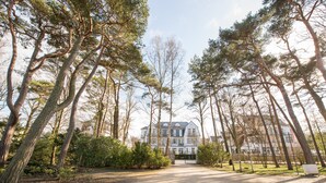 Een pad dat leidt naar een groot gebouw, omringd door hoge bomen.