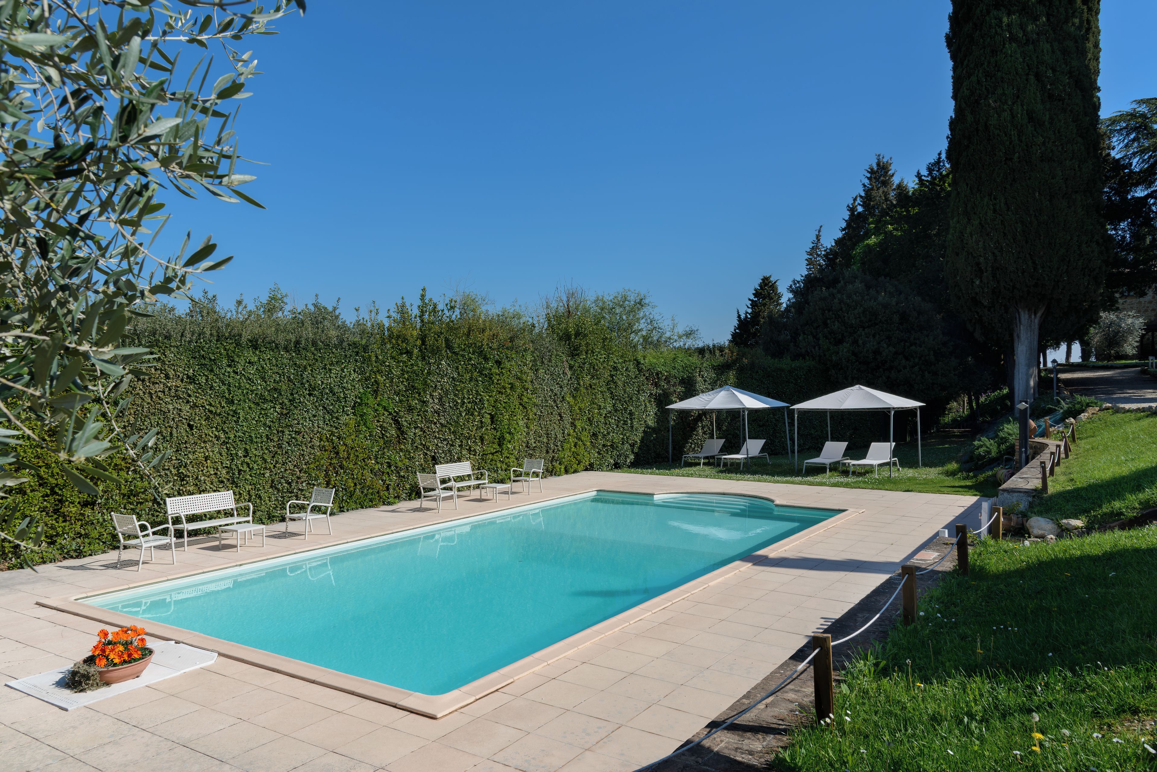 A swimming pool with lounge chairs and umbrellas, surrounded by greenery and trees.