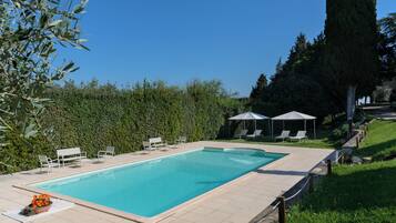 A swimming pool with lounge chairs and umbrellas, surrounded by greenery and trees.