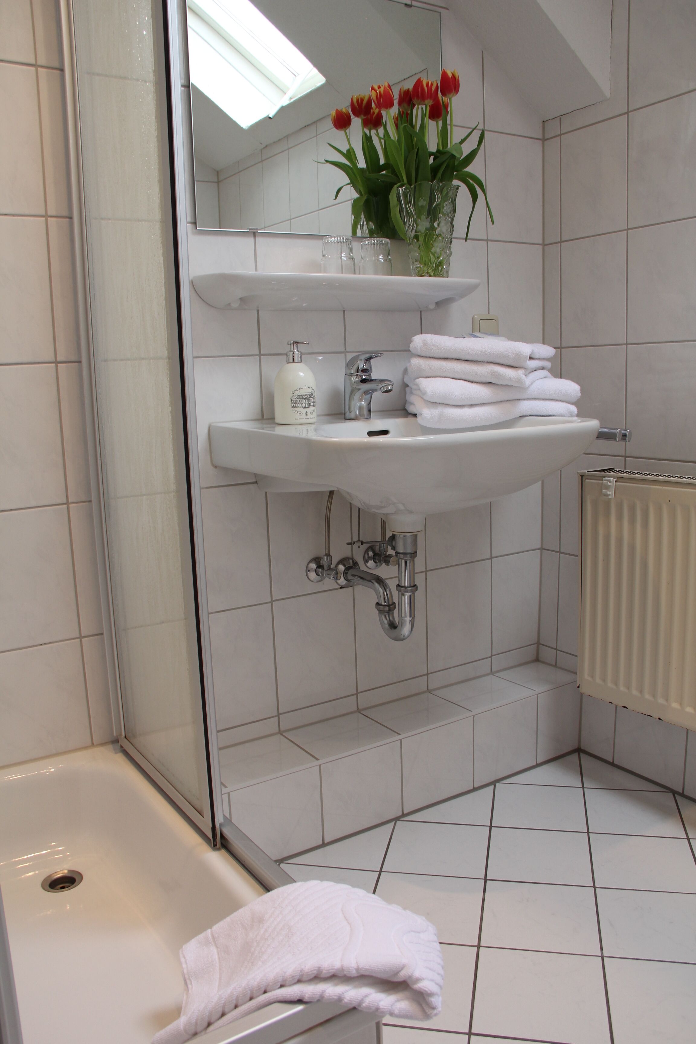 Un baño con ducha, un lavabo con espejo y un radiador.
