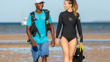 Two people walking on a beach, one in a blue shirt and shorts, the other in a black swimsuit, both carrying gear.