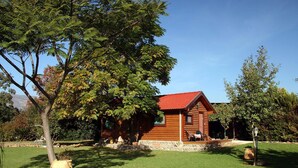 Romantic Cabin, Jetted Tub, Poolside - Kidmat Hagalil (Mevoot HaHermon)