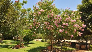 Garden - Kidmat Hagalil (Mevoot HaHermon)
