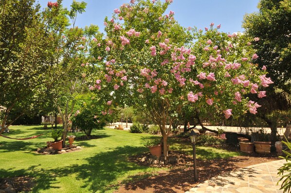 Garden - Kidmat Hagalil (Mevoot HaHermon)