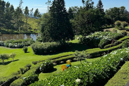 Vista para o jardim