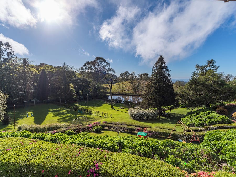 A golf course with a pond, surrounded by lush greenery and trees.