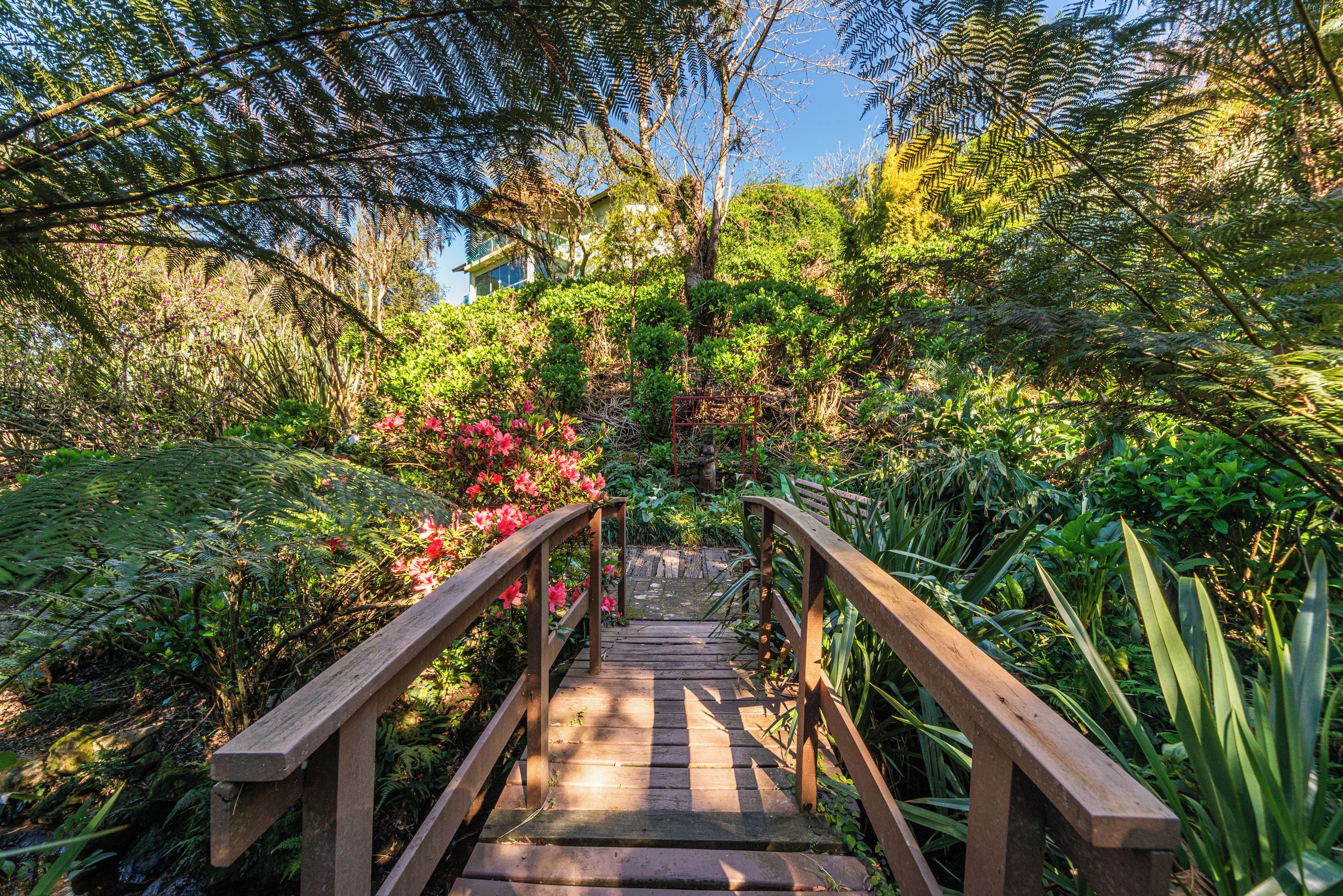 Un puente de madera que atraviesa un exuberante jardín con follaje denso y plantas en flor.