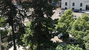 Un edificio de varios pisos con un estilo arquitectónico clásico, que cuenta con un patio central con árboles y mobiliario exterior.