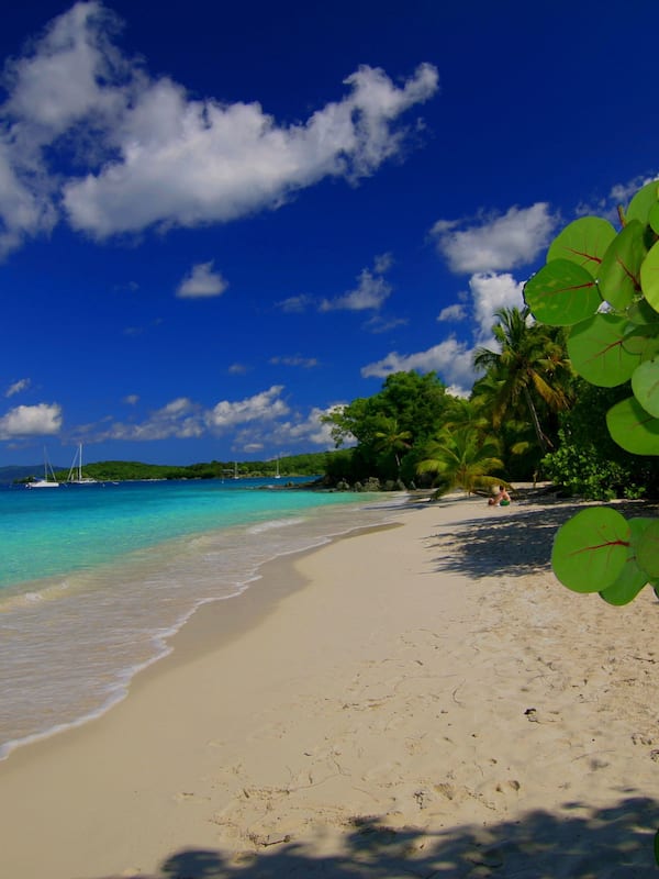 Playa privada, arena blanca, toallas de playa, buceo