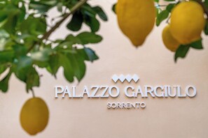 Exterior - Palazzo Gargiulo (Sorrento)