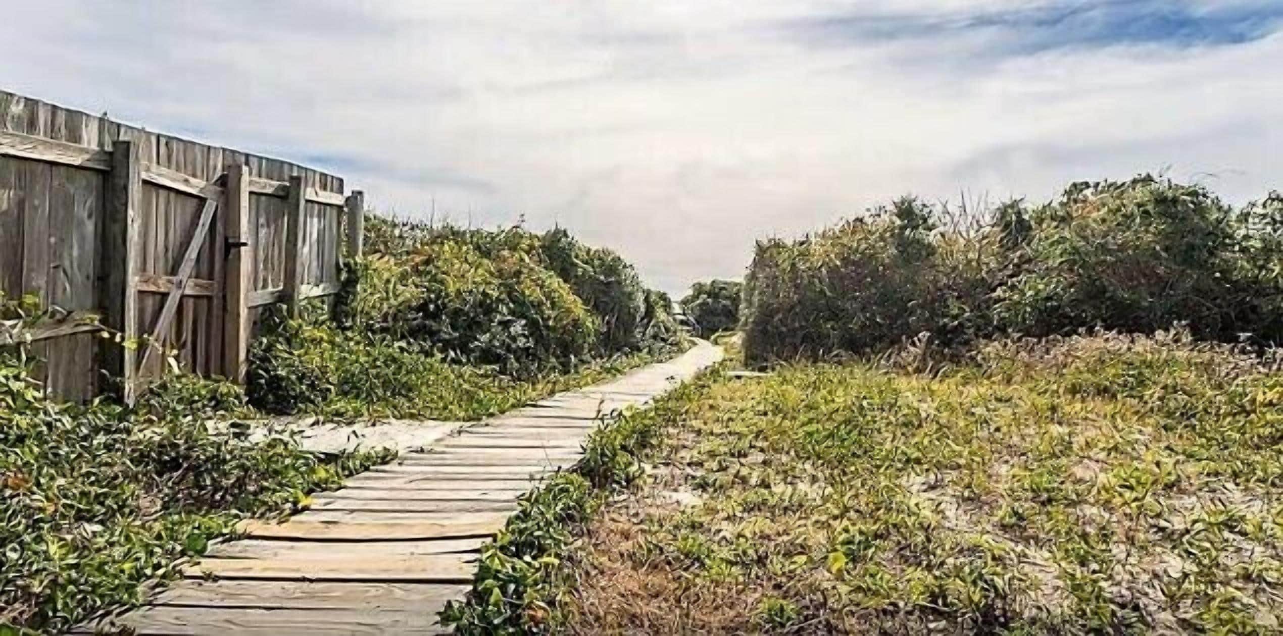 A wooden pathway leading through a natural area with dense vegetation on both sides.