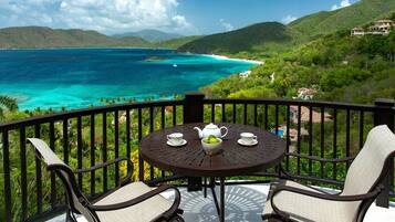 Luxury Penthouse | Balcony view