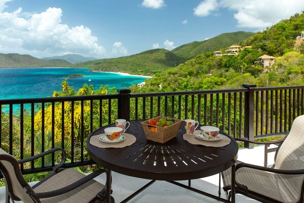 蜜月套房, 1 间卧室 | 露台